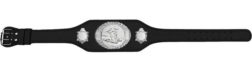 MMA CHAMPIONSHIP BELT-BUD295/S/MMAS-4 COLOURS